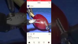 Doing surgery on a grape [upl. by Drahnreb]