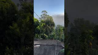 🇱🇰Sri Lanka Nuwara Eliya🇱🇰 Early Morning View from Resort nature travel trending viralvideo [upl. by Llohcin]