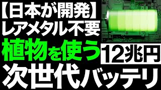 【衝撃】常識を覆す！日本製紙が開発した「新型バッテリー」に世界が震えた！【Cellulose Nano Fiber】 [upl. by Middendorf878]