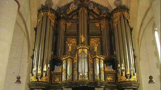 Bach 595 Koopman Schnitger organ Groningen [upl. by Nodababus]