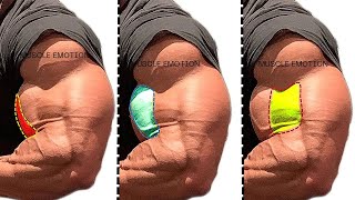 12 BEST BICEPS WORKOUT AT GYM TO GET BIGGER ARMS FAST [upl. by Moorish77]