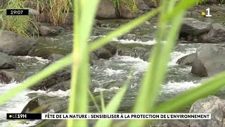 LIlet Quinquina comme terrain dapprentissage pour sensibiliser à la protection de lenvironnement [upl. by Ylrehs362]