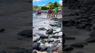 Cockleshell Beach St Kitts travel wanderlust wavesounds caribbean beach [upl. by Slack]