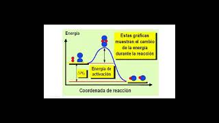 VELOCIDAD DE LAS REACCIONES [upl. by Barmen]