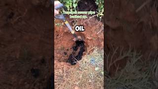 Thats a lotta oil 😅 shorts viralvideo satisfying [upl. by Agace192]