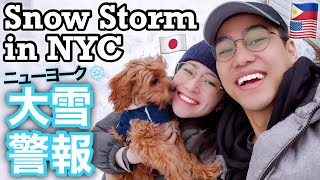 Errands During a Snow Storm VLOG 16 International Couple [upl. by Hank]