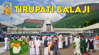 Tirupati Balaji Temple Darshan  तिरुपति बालाजी  Tirupati Balaji Tour Guide Vlog  Tirumala Temple [upl. by Nnylav]