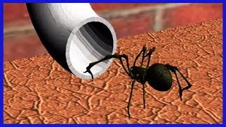 Incy Wincy Spider  Nursery Rhyme Video  Cartoons For Toddlers  Learning Videos For Babies [upl. by Nagam387]