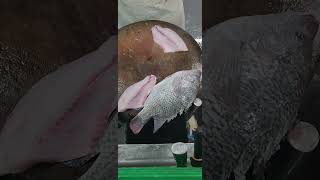 Black Tilapia Fillet fypシ゚viral fishfillet cuttingskils [upl. by Zeena149]