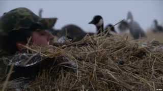 Hunting Canada Goose with MOJO Outdoors [upl. by Wickner278]