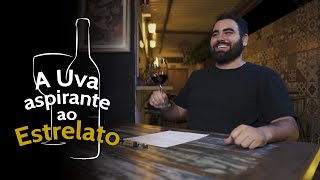 Malvasia Nera a uva aspirante ao estrelato [upl. by Fritz847]