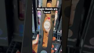 Magic Bands now at Disneyland [upl. by Tacye]