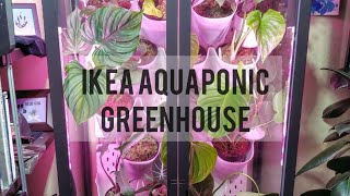 Ikea greenhouse aquaponic system [upl. by Buhler]