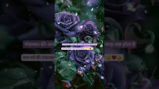 मोहब्बत कीprincess 786 shayari shortvideo dhayari newsong vlog hindi gameplay yut 🤲👌❤️‍🩹🥀 [upl. by Royce492]