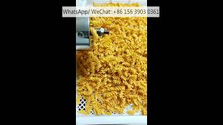 Easy operation pasta making machine fusilli noodles screw extruding machine macaroni shells maker [upl. by Nnylharas978]