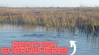 Welcome to Redfish SANCTUARY Corpus Christi TX [upl. by Aicil425]