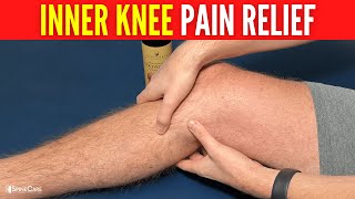 How to Relieve Inner Knee Pain in SECONDS [upl. by Kcirederf]