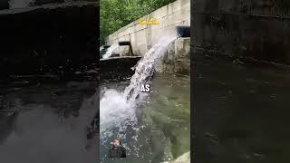 Technical Guidance water waterfall river fishing nature viralshort viralvideo [upl. by Kcirted917]