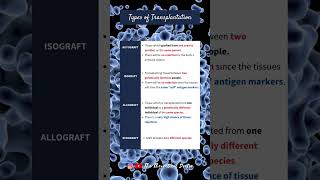 Types of Transplantation Autograft Isograft Allograft amp Xenograft PreU Biology shorts short [upl. by Noyar]