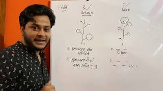 Inflorescence  পুষ্পবিন্যাস Gymnosperm amp AngiospermPart1 Dr Fahad FAB Fahad Biology [upl. by Timmons281]