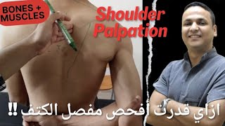 Learn Shoulder Palpation for Better Assessment amp Treatment  فحص مفصل الكتف [upl. by Llovera440]