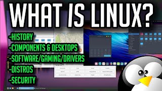 What is Linux  Linux Explained [upl. by Anaytat]