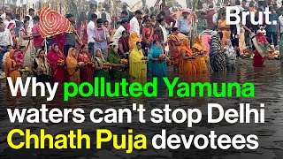 Why polluted Yamuna waters cant stop Delhi Chhath Puja devotees [upl. by Haikan]