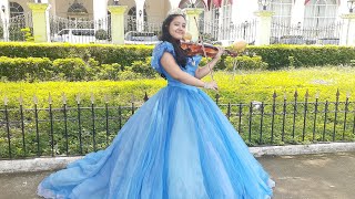 Lavander Blue Dilly Dilly  Alexa Nicole  Violin Cover [upl. by Zebapda935]