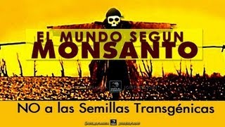 quotEL MUNDO SEGÚN MONSANTOquot  Documental completo doblado al Español [upl. by Llertnov]