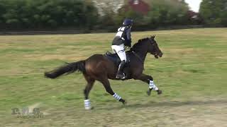 Rachel Higgins amp Kronos Waredaca 3Day Cassic amp Horse Trials 2024 [upl. by Hege]