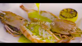 PampO Cruises  Dining options to please every palate [upl. by Gareri]