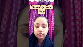 Tibia Bone l Tibia Anatomy ll Harshika Gupta harshikagupta2059 [upl. by Lotson]