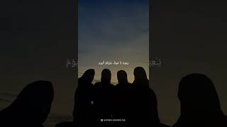 Ahmed bin Taleb quran duet islamicvideo [upl. by Gabler777]