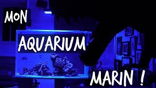 MON NOUVEL AQUARIUM DEAU DE MER   TOOPET [upl. by Eintruok]