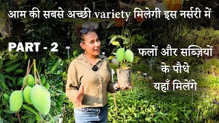 Every type of Mango variety available  mango variety in india  Kitchen gardening [upl. by Manya]