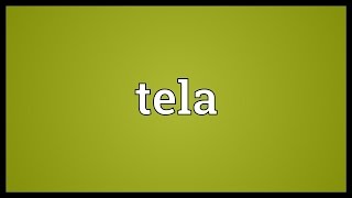 Tela Meaning [upl. by Nor955]