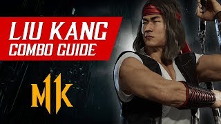 Liu Kang Combo Guide TournamentRanked – Mortal Kombat 11 [upl. by Woodruff]