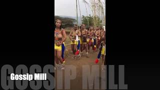 SOUTH AFRICA  GIRLS DANCE  HERITAGE  ZULU DANCE [upl. by Astrix]