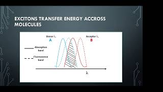 Exciton Energy Migration  Virtual Winter School CompChem 2022 [upl. by Safoelc612]