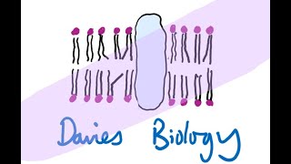 42 Working out the Genetic Code Part 1 Nirenberg [upl. by Anaek98]