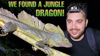 PREHISTORIC JUNGLE DRAGON FOUND IN COSTA RICA Basiliscus plumifrons  Costa Rica Vlog Episode 3 [upl. by Jervis]