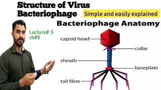 Structure of viruses in general and Bacteriophage structure Lec5 CH5 in Urdu Hindi by dr Hadi [upl. by Fabi]