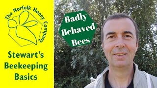 How to deal with Badly Behaved Bees  Beekeeping Basics  The Norfolk Honey Co [upl. by Perdita]