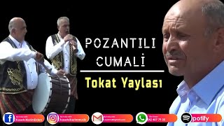 POZANTILI CUMALİ  Tokat yaylası [upl. by Amedeo]