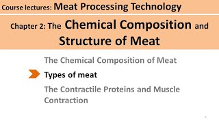 C208 connective tissue Meat Technology [upl. by German]