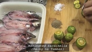 Tamban daing recipe  Marinated Sardinella  How to cook  Quick and easy [upl. by Akima]