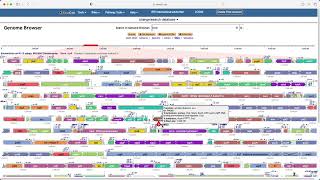 Genome Browser [upl. by Sherri]