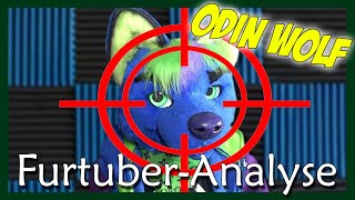 ODIN WOLF  Die FurtuberAnalyse feat Ivy Aussie [upl. by Irolav]