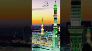 quot🌟 Huzur Aap Ko Dekhna Chahta Hun 🕌 Heartfelt Request to See Mohammad 😢 Naat Shortsquot [upl. by Eelra60]