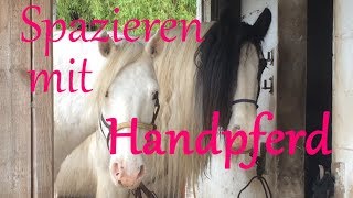 🐴 🦄 Mit 2 Pferden spazieren  Billy als Handpferd 🖐 [upl. by Oech]